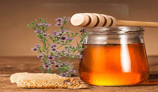 تصویر 2 از قیمت خرید عسل گون گز + فروش ویژه
